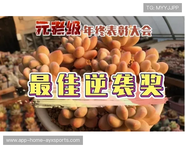 联赛宣布新增年度“最佳逆袭奖”